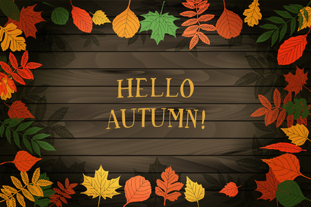 Hello autumn. Hand drawn different colored autumn leaves. Background for your design. On wooden background.のイラスト素材