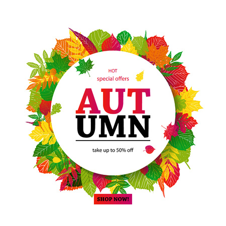 Hello Autumn Sale text poster of September leaf fall or autumnal foliage of maple, oak acorn and elm for shopping sale design and frame leaflet or web banner. On a white background.のイラスト素材