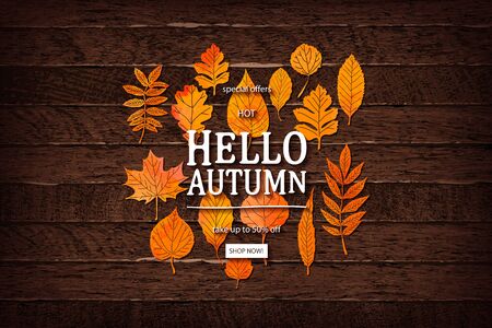 Vector autumn sale lettering label. Banner with hand drawn typography and leaves on a wooden backgroundのイラスト素材