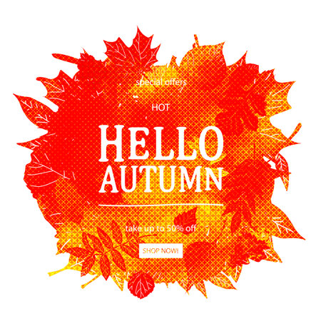 Fall sale card design. autumn banner. Leaves isolated on white background. hello autumn sales. calligraphic text, handwrittenのイラスト素材