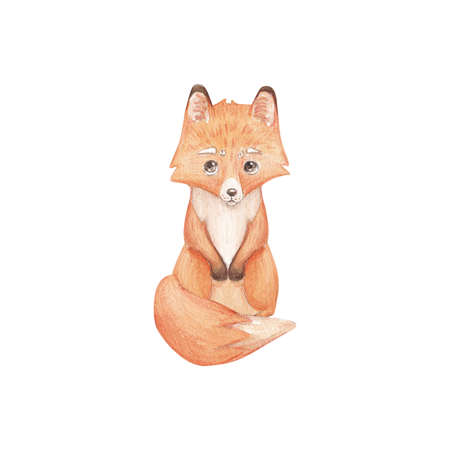 A cute fox is sleeping in a basket with a watercolor toy on a white background. children's watercolor illustration. Children's print with forest animals. Greeting card design, greeting cards and moreの写真素材