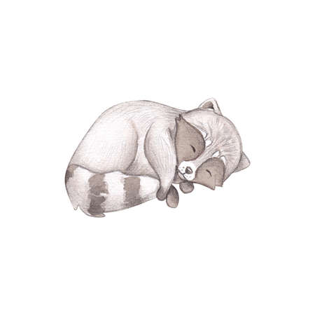 Cute racoon is sleeping in a basket with a watercolor toy on a white background. Baby watercolor illustration. Children's print with forest animals. Greeting card design, greeting cards and moreの写真素材