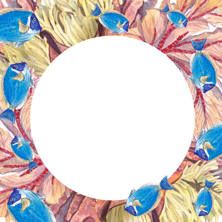Square frame with underwater corals and blue exotic fish on a white background. Watercolor illustration of underwater plants and animals. The bottom of the oceans. Suitable for design, invitationsの写真素材
