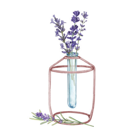 A bouquet of lavender in a glass vase on a stand on a white background. Watercolor illustration of Provencal herb. Collection Provencal bouquet. Suitable for the design, invitation, wedding, holidayの写真素材