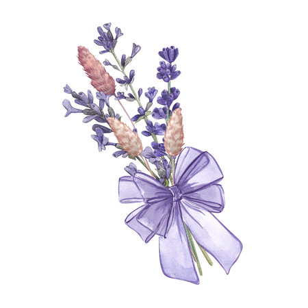 A bouquet of lavender with a purple bow and dried flowers isolated on a white background is a watercolor illustration of Provencal flowers. Botanical image of lavender. Suitable postcards, designsの写真素材