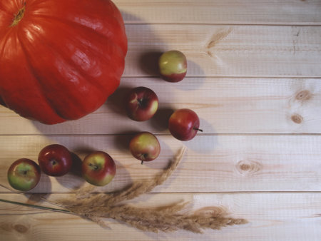 Pumpkin, spikelets and apples on wooden backgroundの写真素材