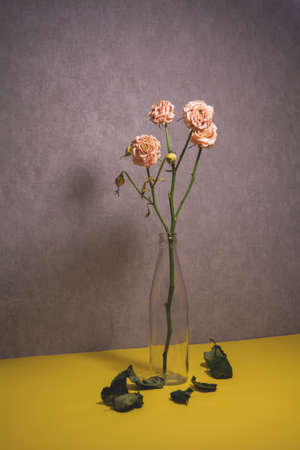 Dried roses in a glass bottle. Fallen leaves belowの写真素材