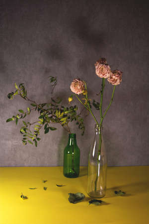 Dried roses and branch of pistachio in a glass bottle. Fallen leaves belowの写真素材