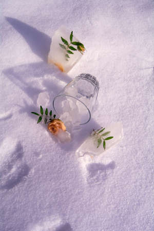 Frozen flowers. The idea of the coming of springの写真素材