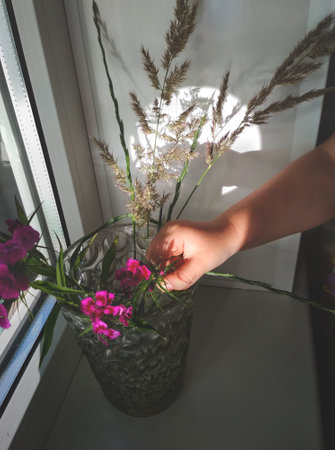 Flowers in a vase and shadow reflection on the wallの写真素材