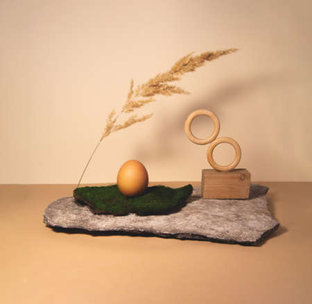 Egg and natural materials on a beige backgroundの写真素材
