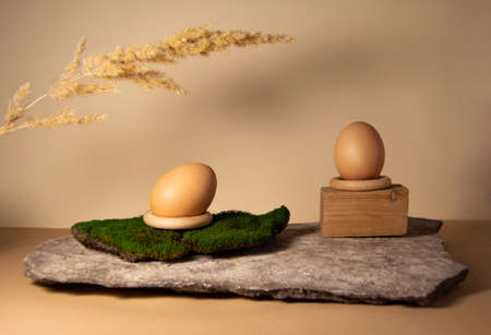 Eggs and natural materials on a beige backgroundの写真素材