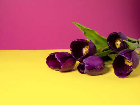 Spring flowers bouquetの写真素材