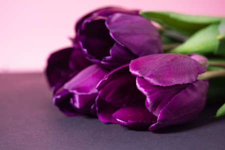 Spring flowers bouquetの写真素材