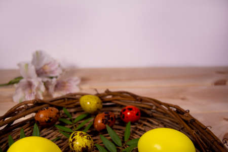 Easter eggs with green plant in a nest of branches on a wooden background. Flowers in the backgroundの写真素材