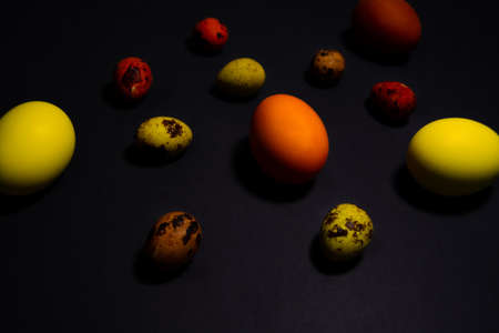 Chicken and quail eggs on a black background. Painted eggs in yellow and brown for the Easter holiday. Eggs with small stars. Front view and copy spaceの写真素材