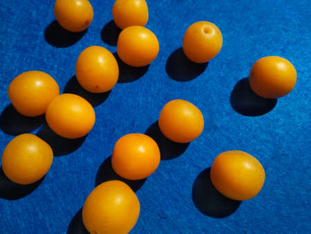 Orange cherry plum on a bright blue textured background