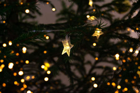 Christmas tree with sparkling lights and garland. Background for New Year and Christmas holidayの写真素材