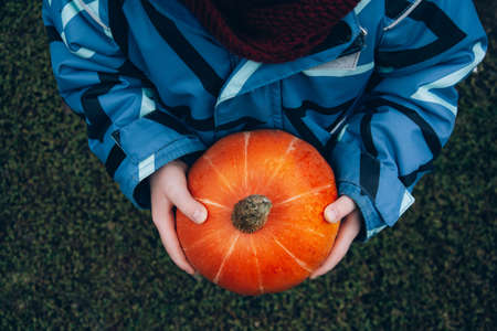 The child holds an orange pumpkin in his hands.の写真素材