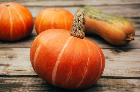 Autumn orange pumpkins on wooden planks at farmの写真素材