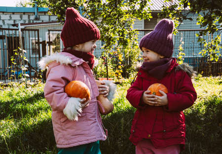 Smiling kids outdoors with pumpkins. Happy childhood in the village, harvesting for the holidays