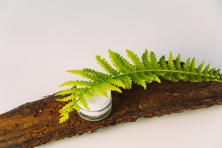 Cosmetic product for face, organic skin care cream and fern. Health and medicine concept, beauty and selfcare. Flat lay and copy spaceの写真素材