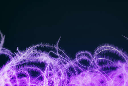 Abstract background of dried flowers on a dark background. Tonned image. Natural background. Poster...