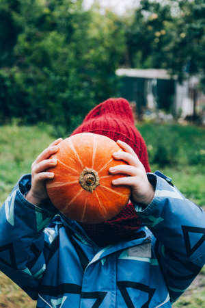 The child covers his face with a pumpkin. Happy childhood in the village, harvesting for the holidays. Halloween and thanksgiving season.の写真素材