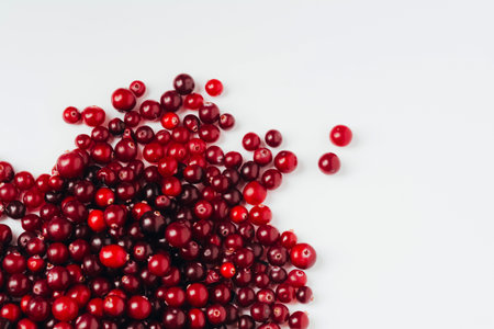 Close-up of a red ripe cranberry on a white background. Berry as an ingredient and source of vitamins, healthy food. Top view, copy spaceの写真素材