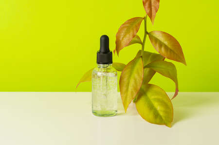 Glass bottle with liquid with bubbles and water drops. Serum or essential with green plant. Health...