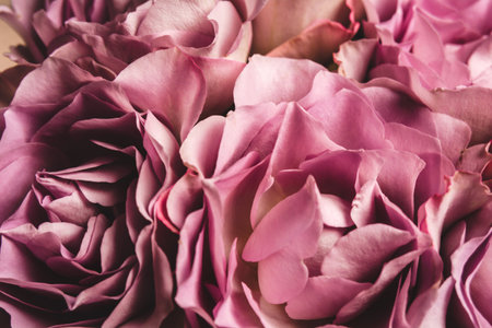 Beautiful bouquet of flowers, roses, carnations, eucalyptus, hypericum for a festive background. Natural texture, copy spaceの写真素材