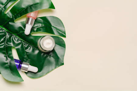 Facial cosmetic products and tropical leaf on a beige background. Health and medicine concept, beauty and selfcare. top view, copy spaceの写真素材