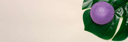 Banner. Natural, organic and konjac sponge on a tropical leaf. sustainable concept. copy spaceの写真素材