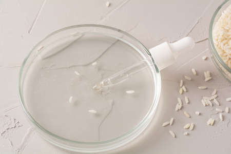 Pipette in a petri dish of rice water, making cosmetic products from fermented ingredients. Holistic...
