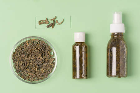 Fermented beauty product with green tea extract, holistic beauty concept, flat lay. Green tea leaves on a medical glass and in a petri dishの写真素材