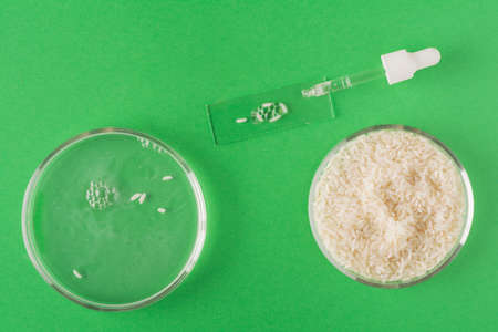 Making rice water for skin care faceの写真素材