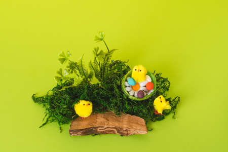 Easter composition with decorative yellow chickens and eggs in the nest with natural materials. Background for your project for the holiday happy easterの写真素材