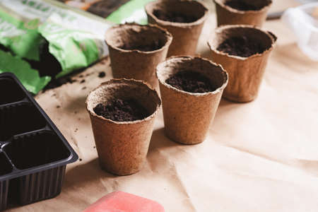 Eco-friendly pots and plastic seed planting moldの写真素材