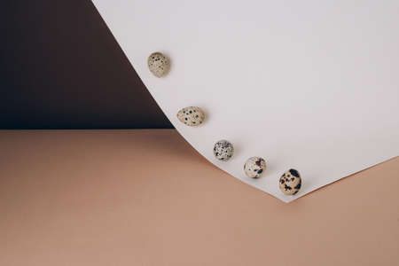 Creative layout with quail eggs on paper pastel background.の写真素材