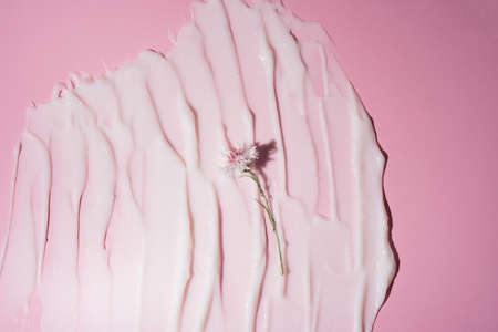 Swatch of a white cosmetic product on a pink backgroundの写真素材