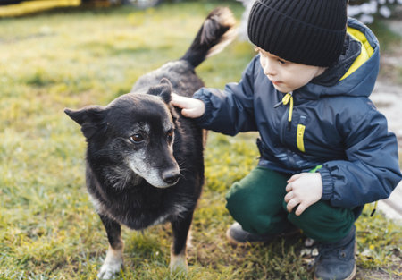 Boy squatting and petting a dog outdoorsの写真素材