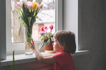 Baby girl stands at the window and looks at a bouquet of tulips in a vase. Hand holding a vaseの写真素材