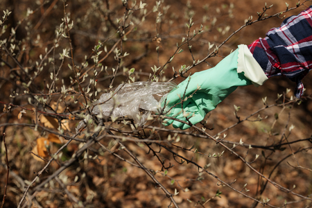 woman picking up dump on dirty forestの写真素材
