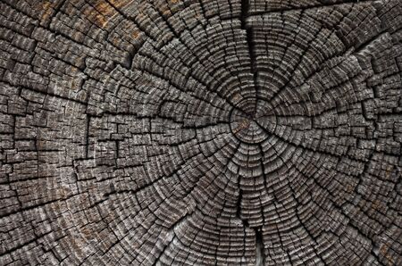 old wood background with the cracksの写真素材