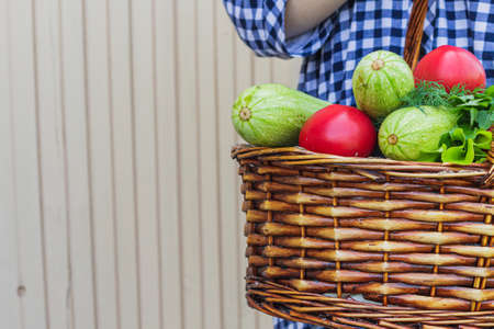 in the garden in a wicker basket is a crop consisting of tomatoes, lettuce, zucchini, Basil, dill