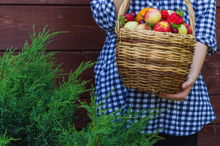 the girl's hands hold nectarines, oranges, strawberries, cherries and mint leaves, which lie in a wicker basket. wooden backgroundの写真素材