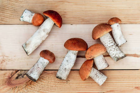 many different edible mushrooms lie on a wooden Board of brown color, collected mushrooms. the view from the topの写真素材
