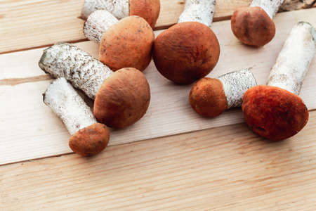 many different edible mushrooms lie on a wooden Board of brown color, collected mushrooms. the view from the topの写真素材
