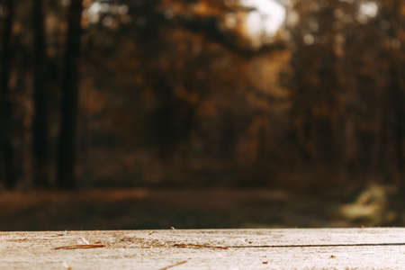 An empty wooden table and an unfocused autumn forest in the background. Great for mounting product display.の写真素材