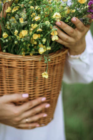A girl in a white blouse holds a wicker basket with a bouquet of wild flowers. Summer walk in the field. midsection.の写真素材